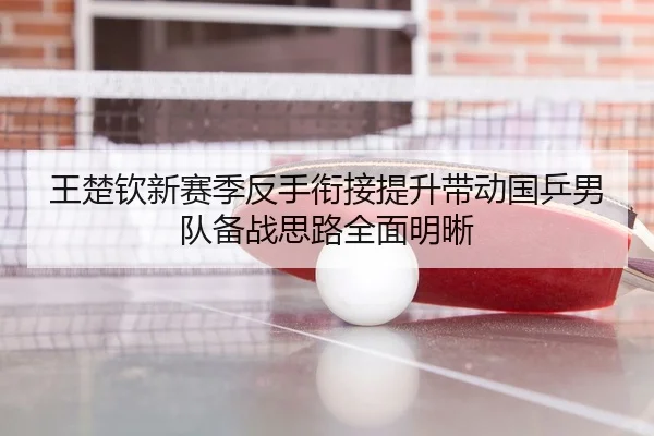 王楚钦新赛季反手衔接提升带动国乒男队备战思路全面明晰